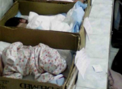 bebés en cajas