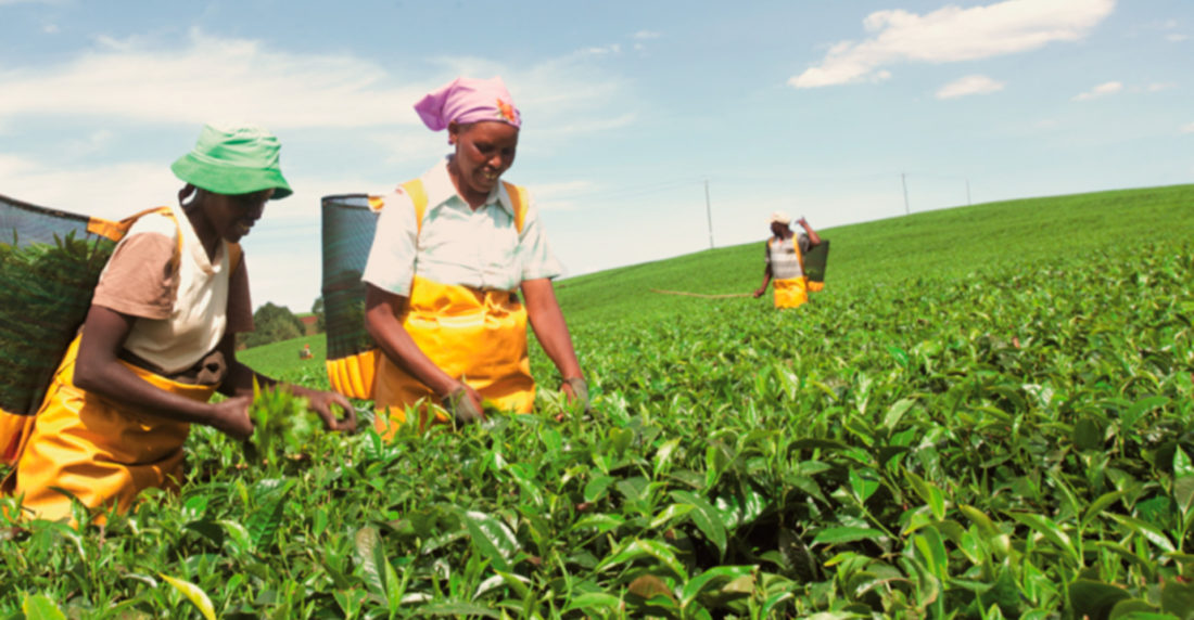 Unilever-Sustentabilidad