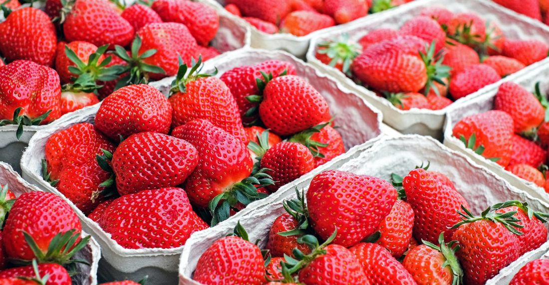 Fresas