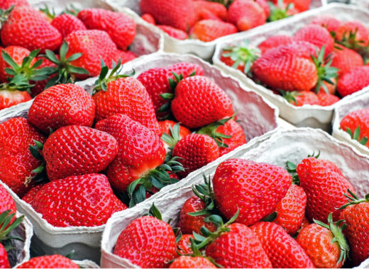 Fresas