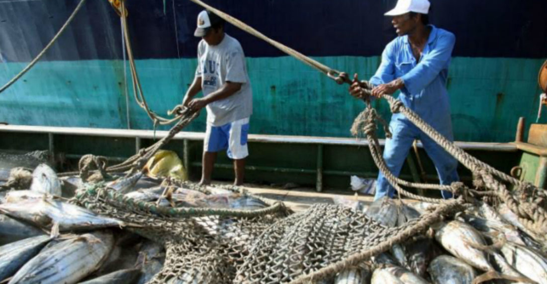 Pescalba pesca