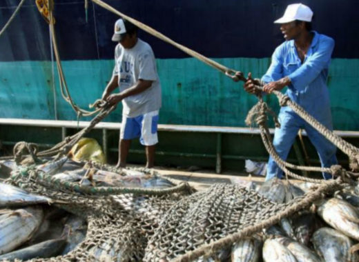 Pescalba pesca