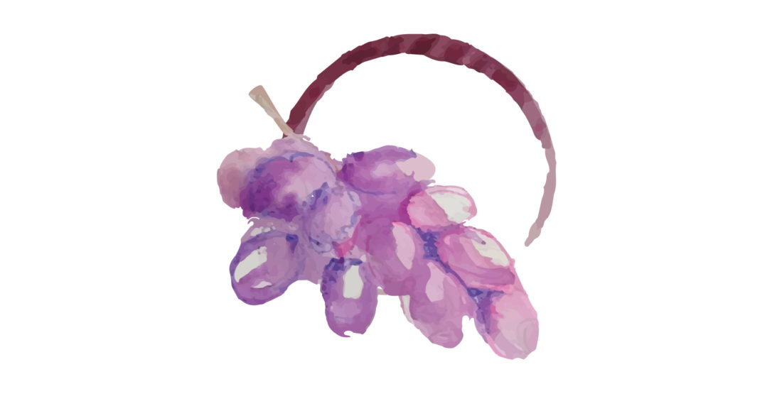 vinos, uvas