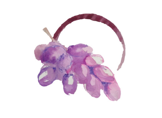 vinos, uvas