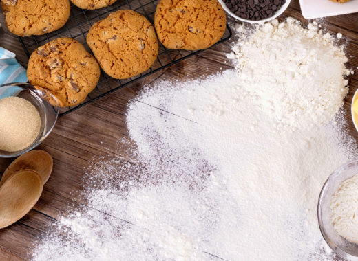 cega, cursos y talleres