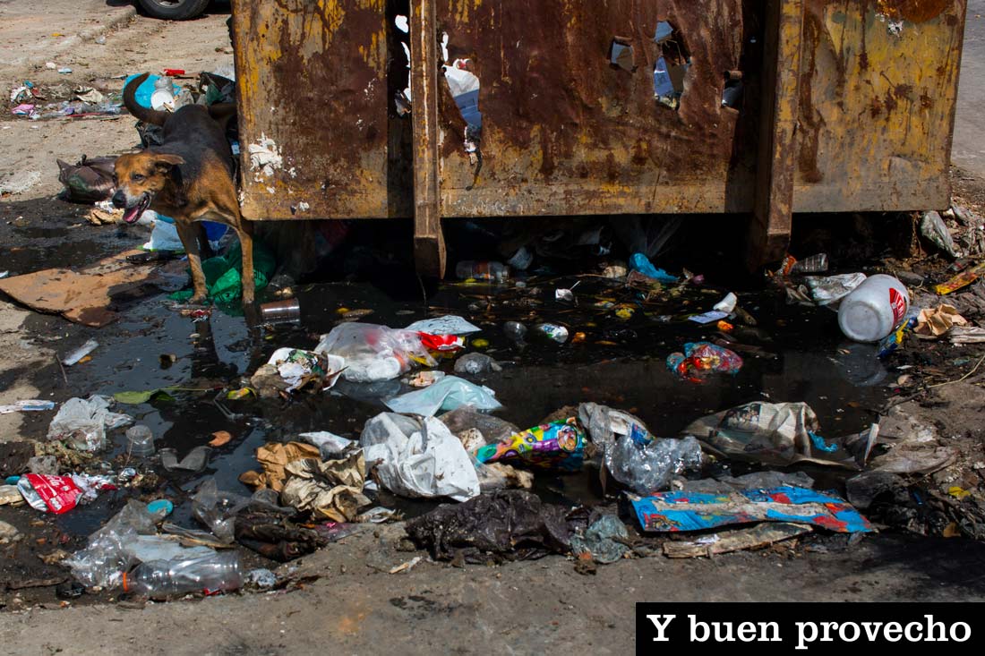 foto-basura-1