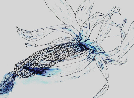 wayuu, venezuela, cocina