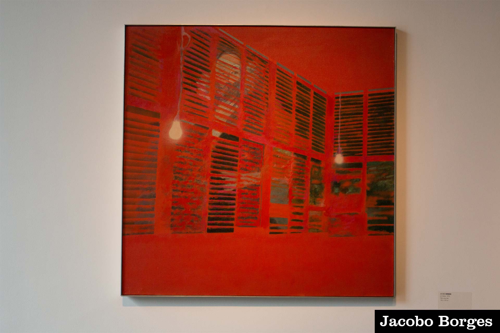 Foto-Galería-Freites-3