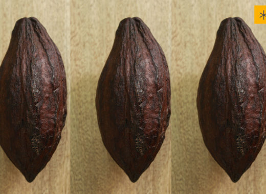 cacao, chuao, tisano, chocolate