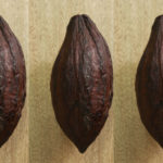 tisano, chuao, diego martínez