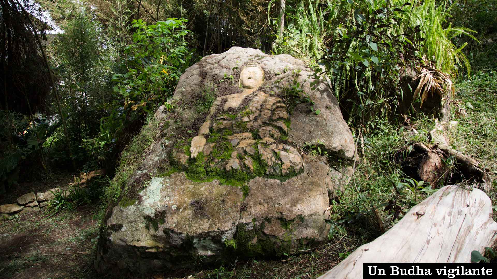 Foto-Ciudad-Fresita-2