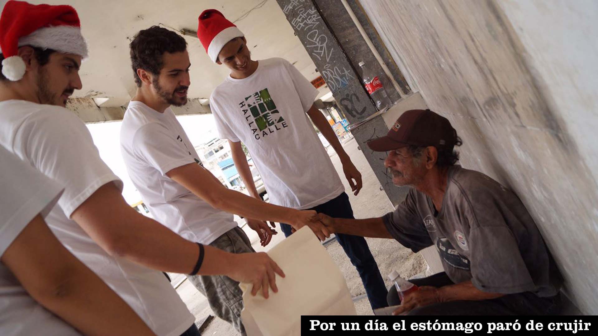 Voluntariado1