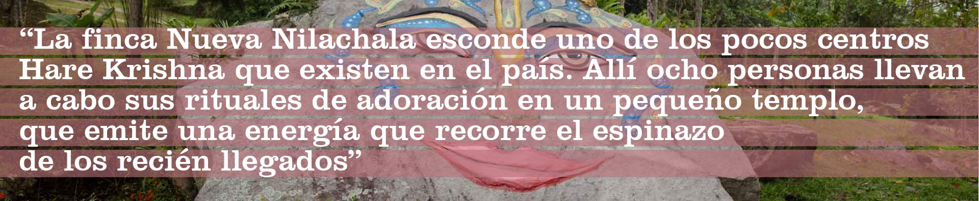 cita-Ciudad-Fresita-2