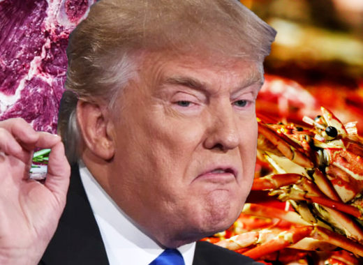 Trump, bienmesabe, presidente