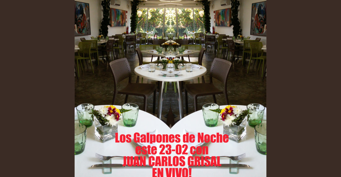 galpones de noche