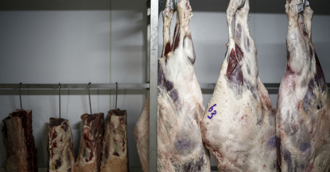 Carne Brasil