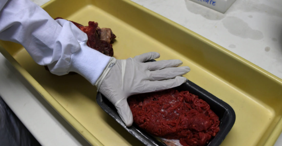 Carne Brasil