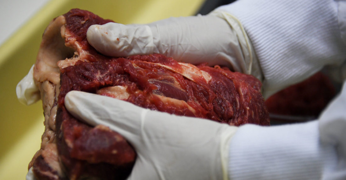 Carne podrida Brasil