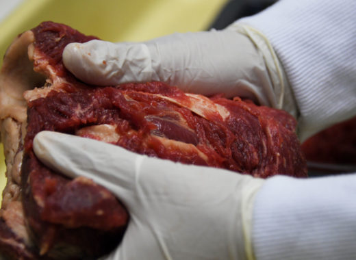 Carne podrida Brasil