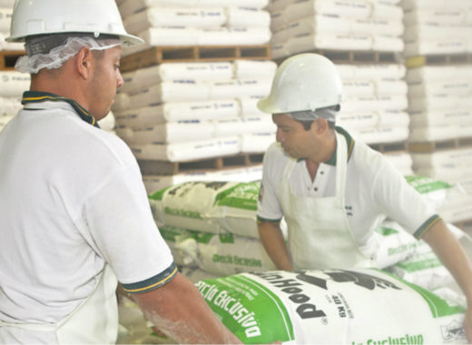 Harina Robin Hood Monaca