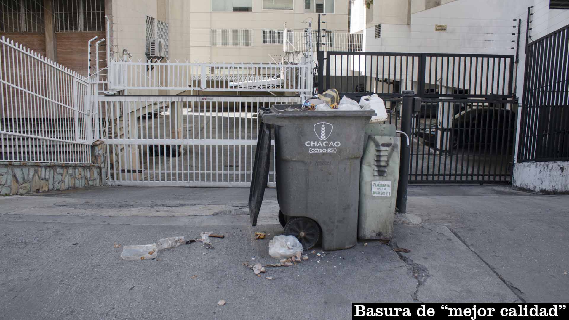 Los Palos Grandes 03.03.2017 Fotografia: Dagne Cobo Buschbeck.