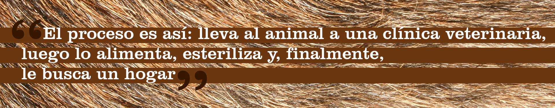 cita-Julia-Mendoza-1