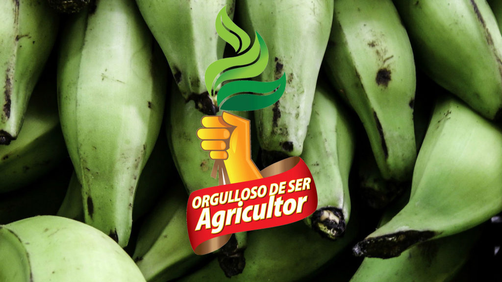 orgullosos de ser agricultor, pepsico, alimentos