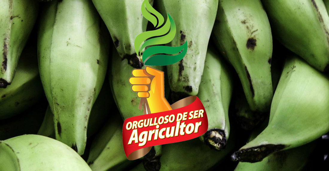 orgullosos de ser agricultor, pepsico, alimentos