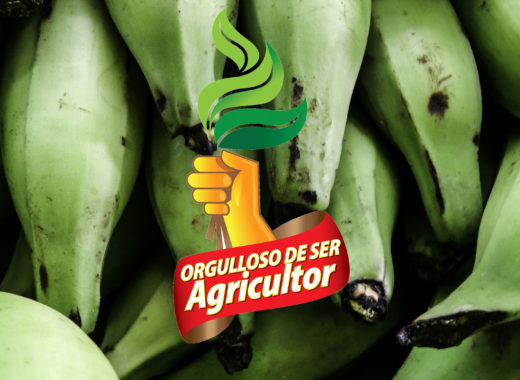 orgullosos de ser agricultor, pepsico, alimentos