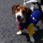 19 de abril foto alejandro cremades para el estimulo