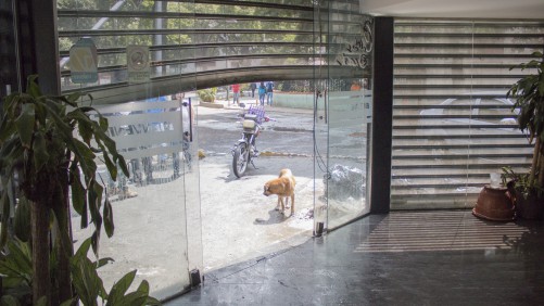 Marcha 2004417 Shakira Di Marzo/EL ESTÍMULO