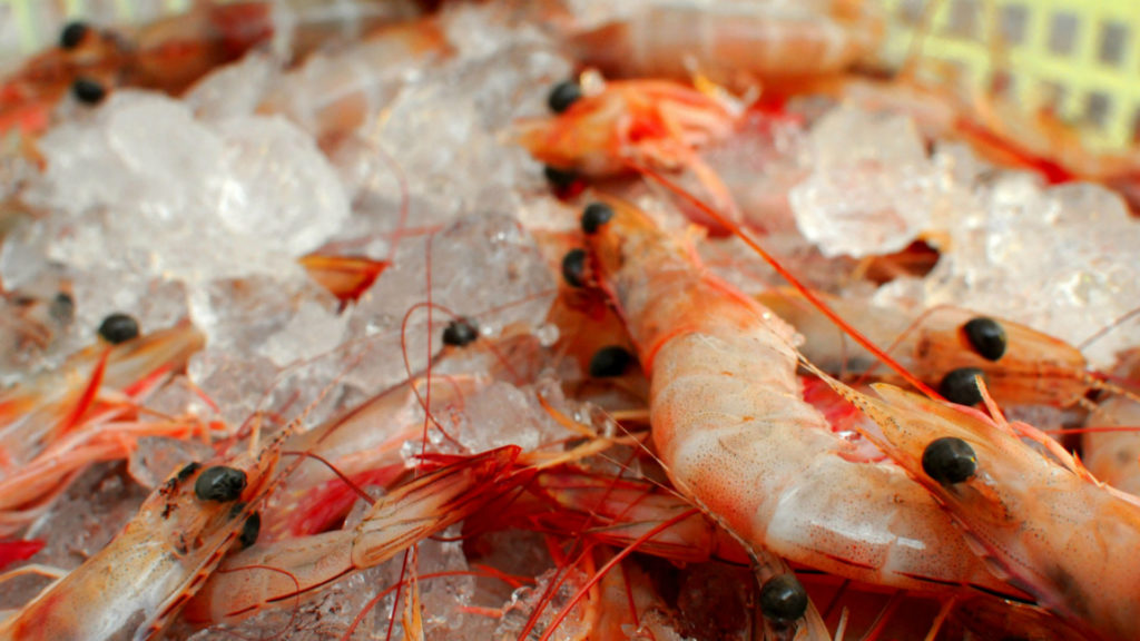 Camarones ecuatorianos