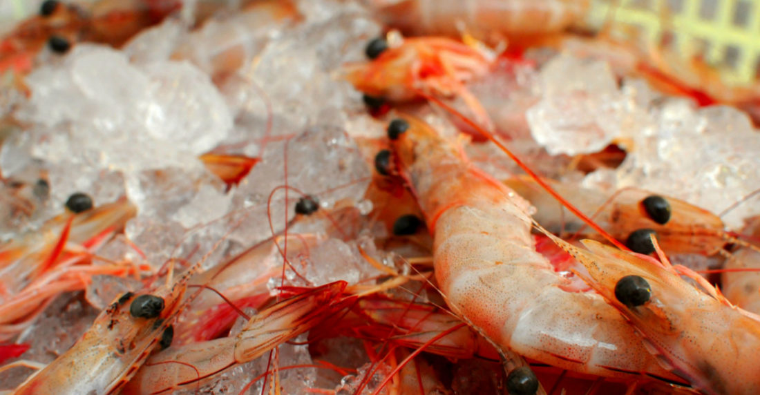 Camarones ecuatorianos