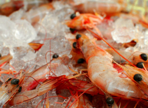 Camarones ecuatorianos
