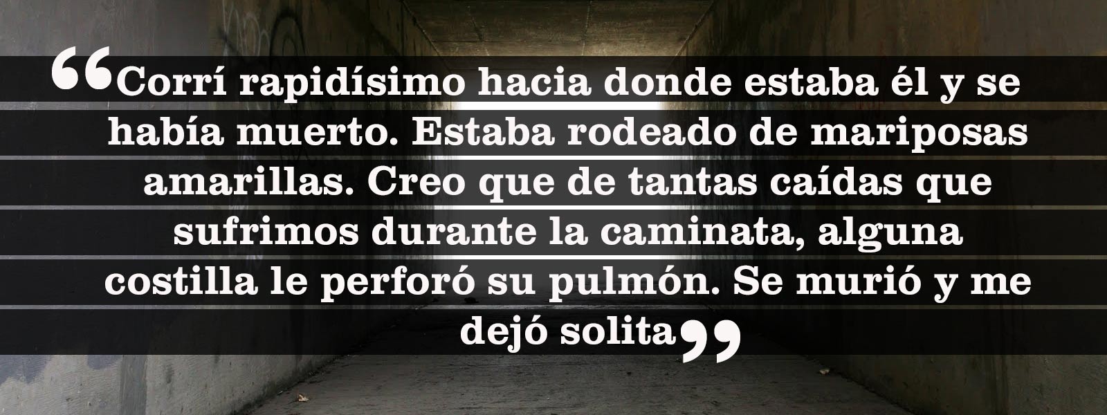 Vida3