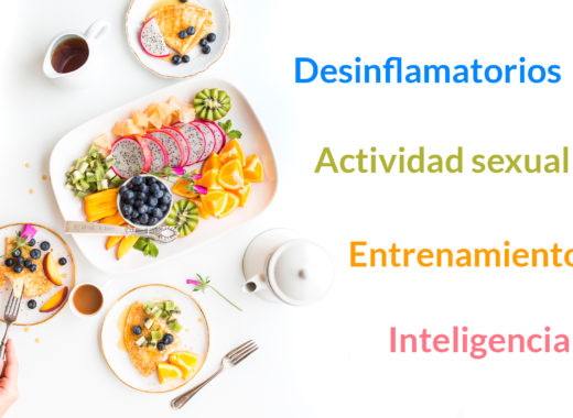 alimentos