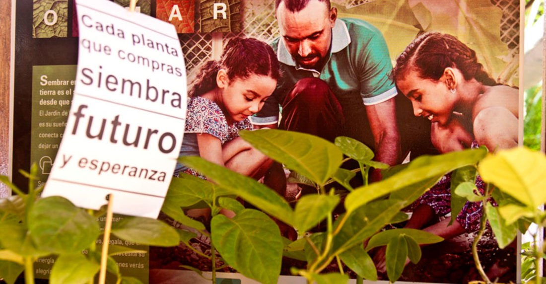 el jardin de osmar