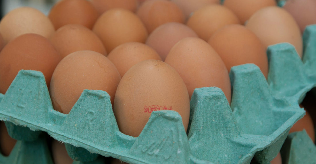 Cartón de huevos