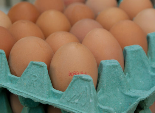 Cartón de huevos