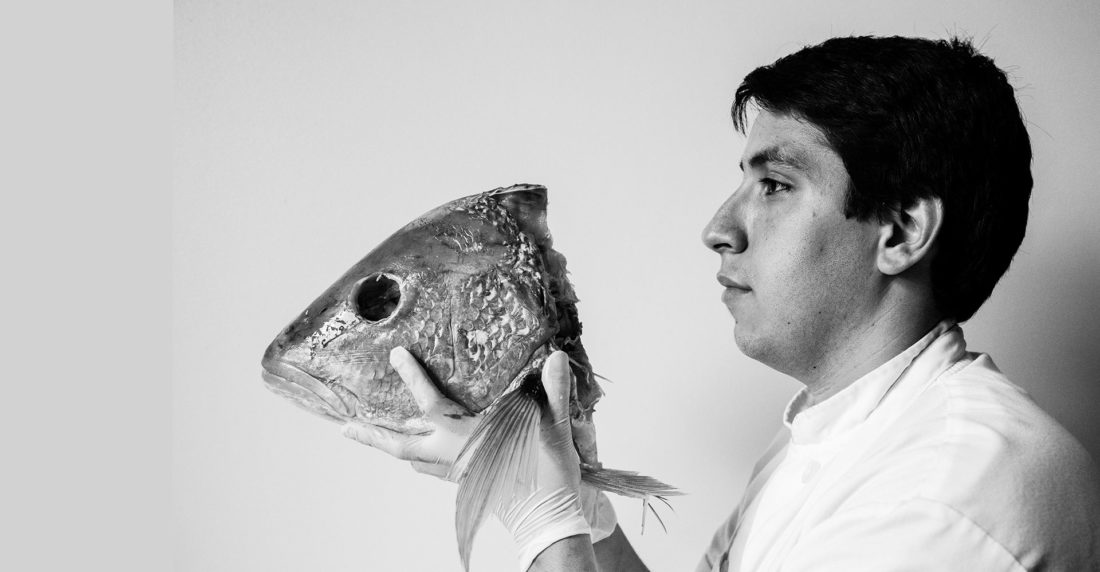 Alma Cocina Latina Foto Irena Stein