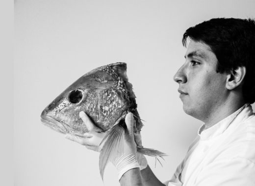 Alma Cocina Latina Foto Irena Stein