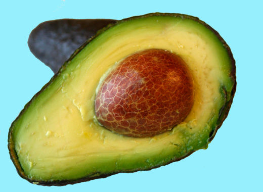 aguacate