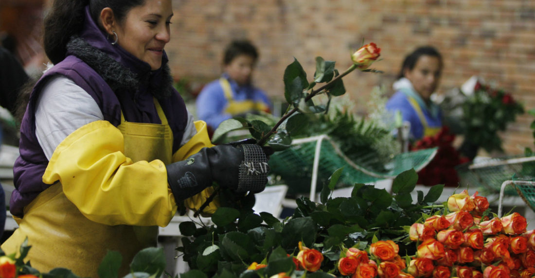 Flores Colombia