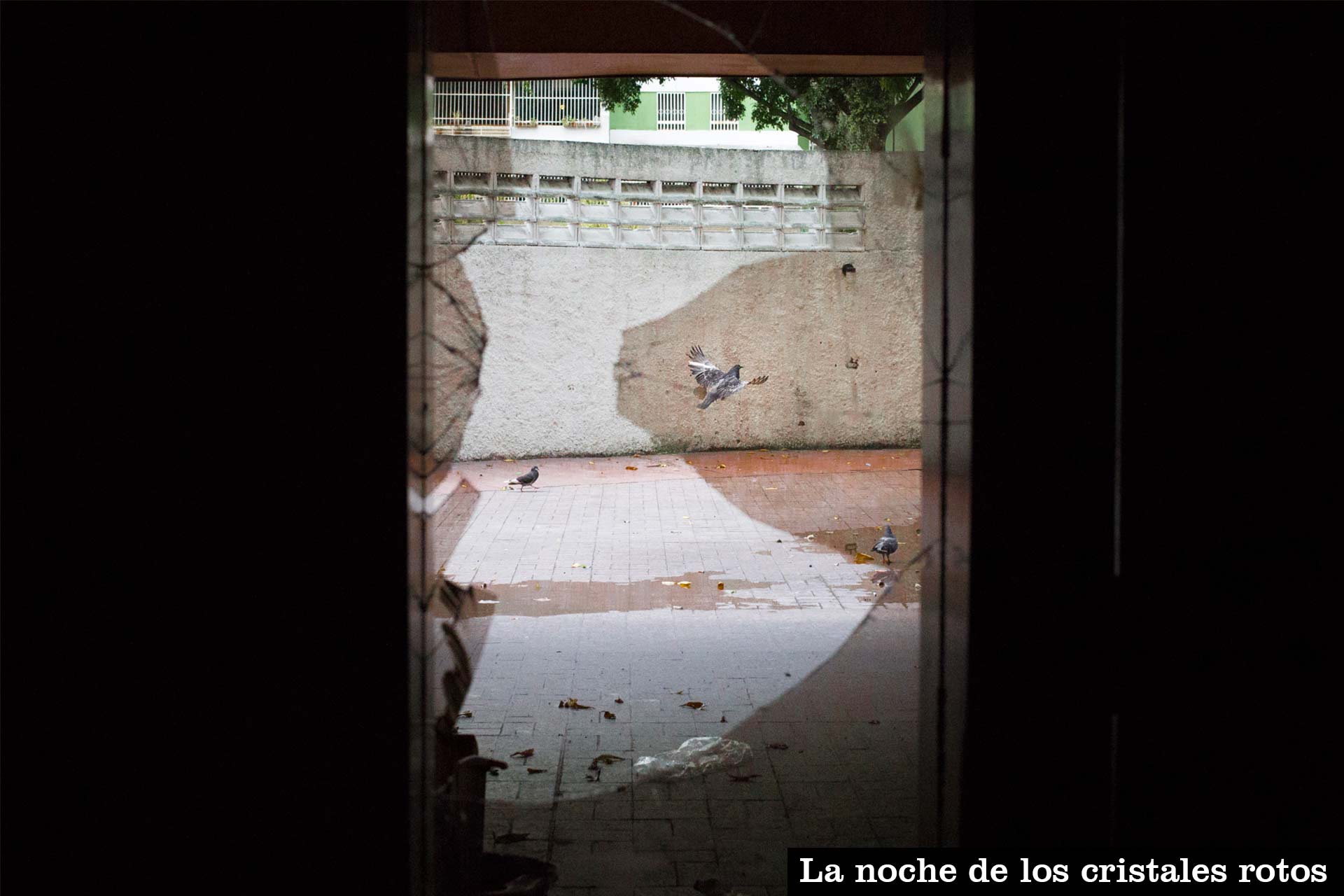 Foto-Los-Verdes-3
