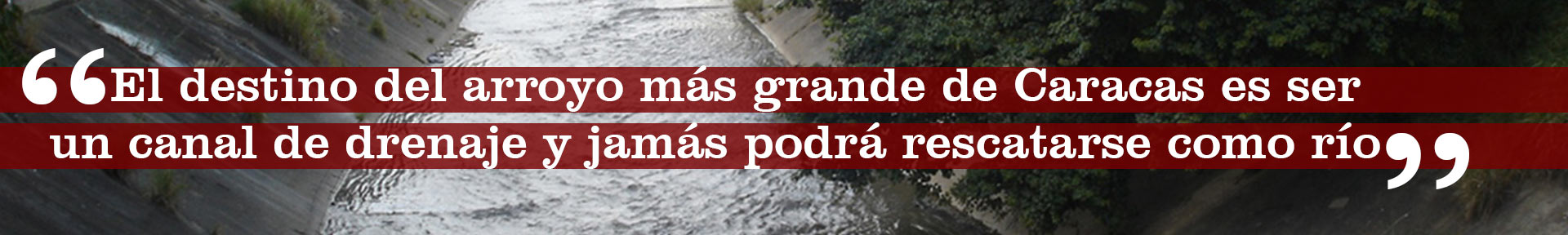 cita-Guaire-1
