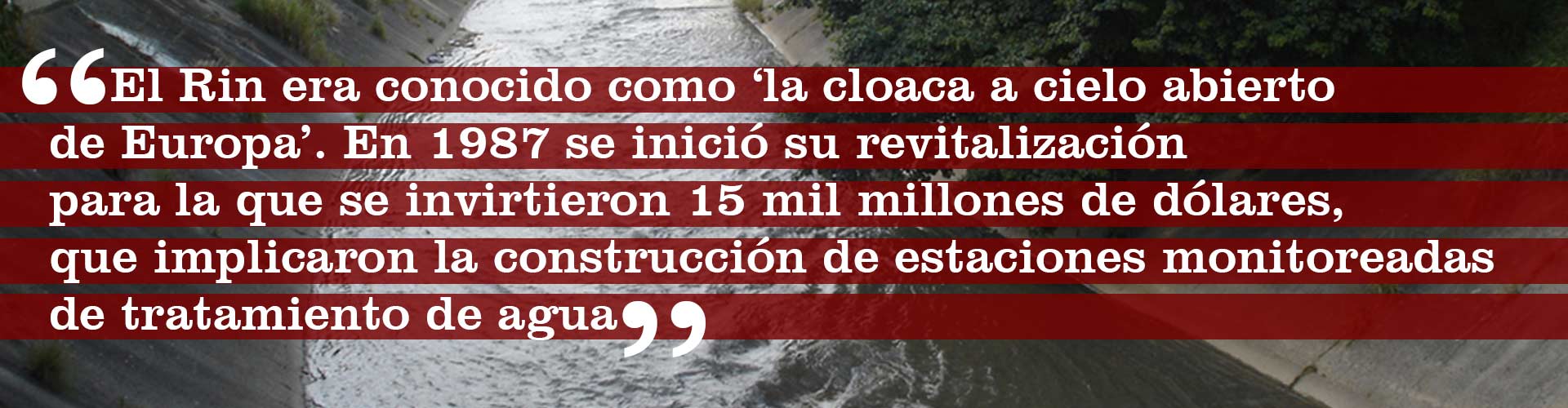 cita-Guaire-4