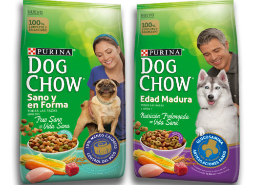 Purina Dog CHow