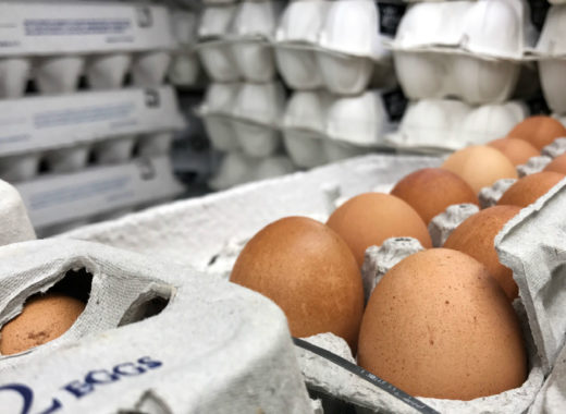 Huevos