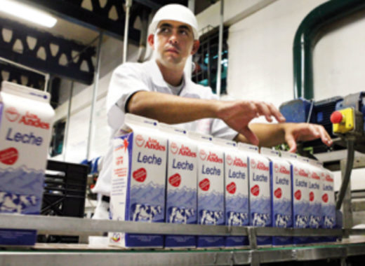 Lácteos Los Andes 2