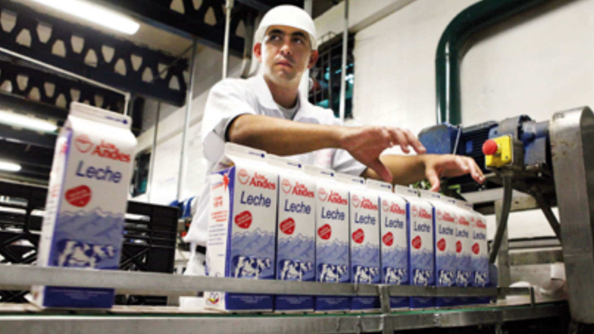 Lácteos Los Andes 2